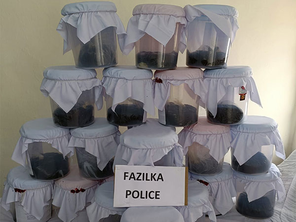 Punjab police bust inter-state opium smuggling syndicate; two held 