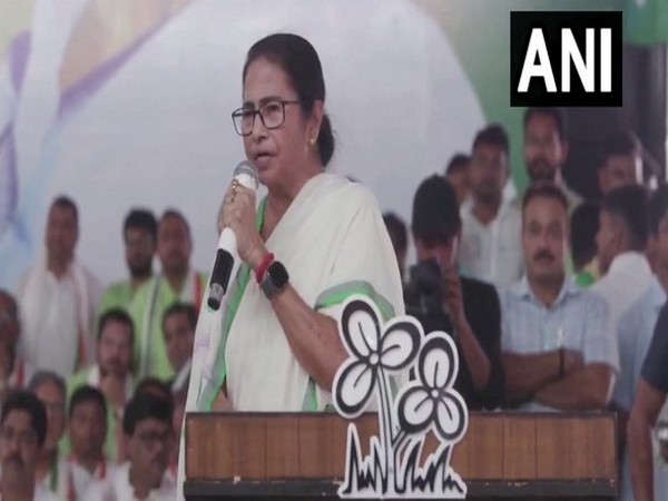 Mamata Banerjee Condemns BJP's 'Bengal Bandh', Calls It an Attempt to Defame Bengal