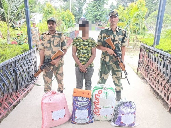 BSF Foils Major Smuggling Attempt at Indo-Bangladesh Border: Seizes Ganja and Cough Syrup