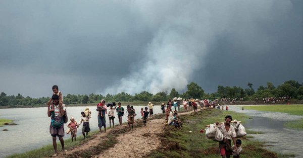 Myanmar army committed war crimes, genocide against Rohingyas: PILPG report