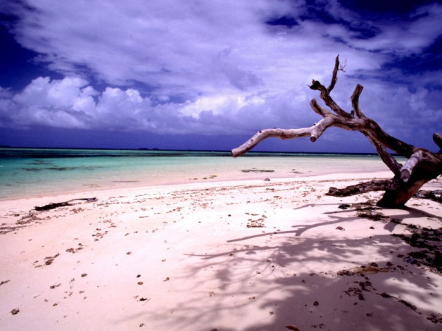 World Bank approves loan to improve climate resilience in Marshall Islands