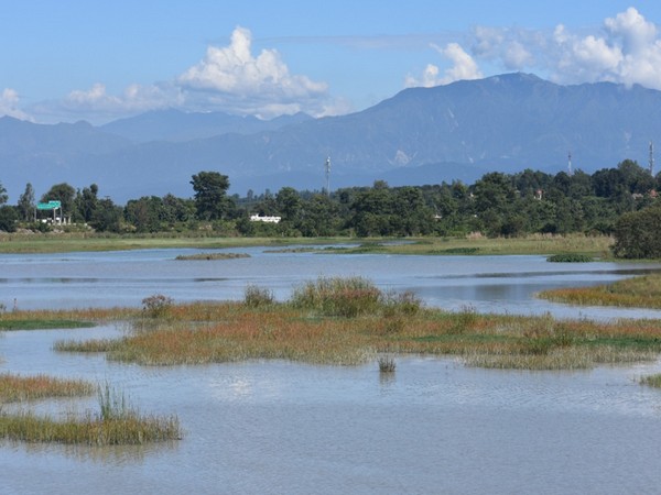 25 years into conservation Wetlands International South Asia marks silver jubilee