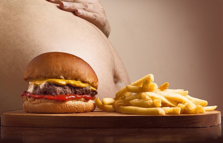 New study explains why high carbohydrate diet induces obesity in some but not others