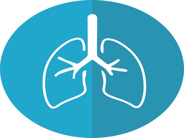 High vitamin A, E, and D intake linked to fewer respiratory complaints in adults
