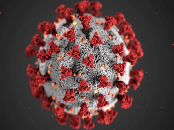 WRAPUP 1-New coronavirus variant Omicron keeps spreading, Australia detects cases
