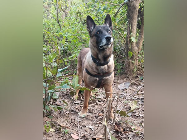 Call of duty: CRPF dog saves lives after sniffing out IED in Jharkhand