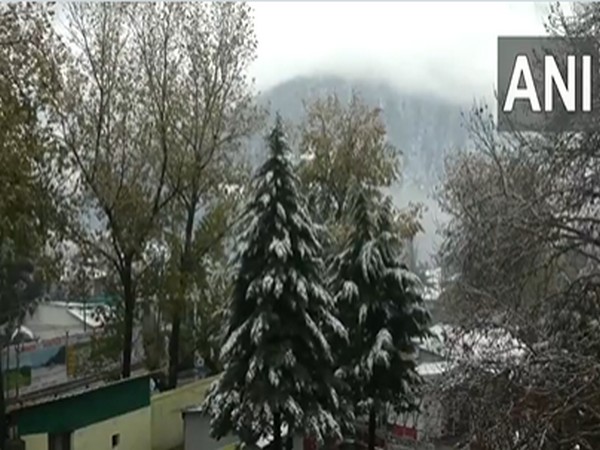 Winter Wonderland: Srinagar Wrapped in Snow's Embrace