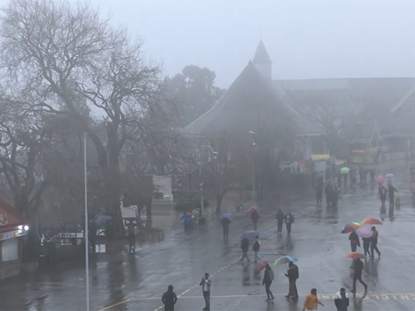 Severe Weather in Himachal Pradesh: Snow, Rain, and Cold Wave Alert