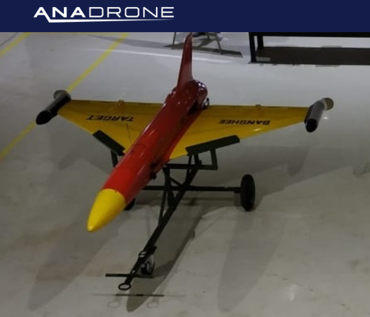 Odisha’s Anadrone Systems set to manufacture advanced defence equipment for Army, Air Force