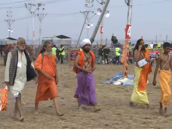 Tragedy Unfolds at Maha Kumbh Stampede