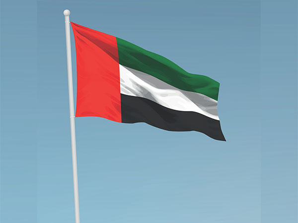 UAE Champions Energy Access at African Heads of State Summit