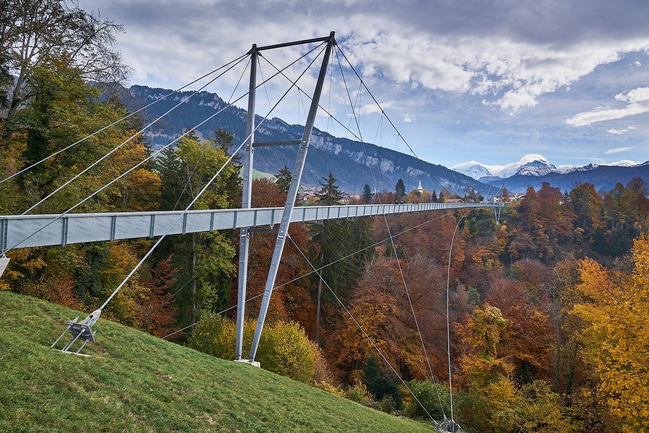 High anxiety: World's longest pedestrian suspension bridge opens in Portugal