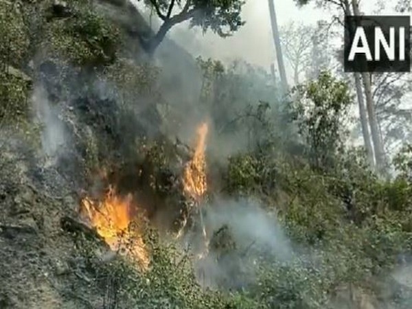 J & K: Forest area in Udhampur under blaze for last 4 days