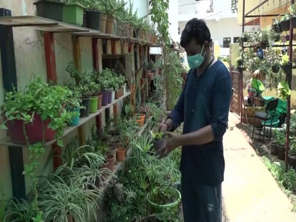 Extreme heat damages plants in Agra's nurseries 