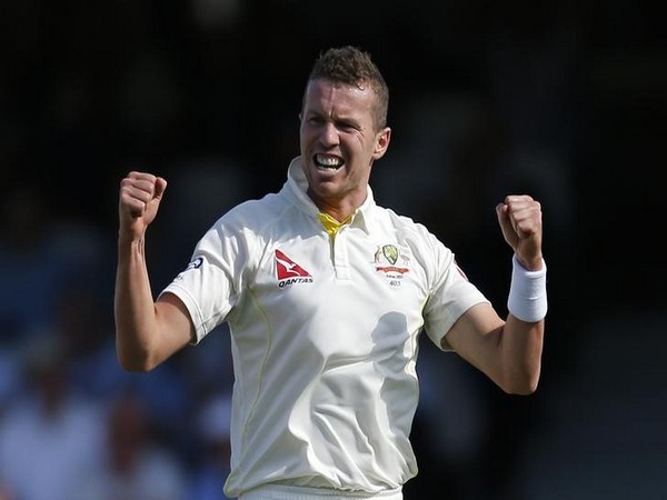 Peter Siddle signs new deal with Tasmania for 2020-21 season