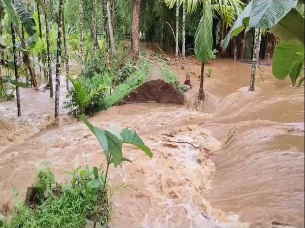  Cyclone Remal aftermath: Heavy rain, strong winds lash Assam