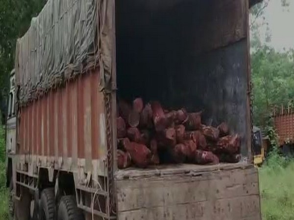 Forest officials seize lorry carrying 194 red sanders logs in AP's Nellore 