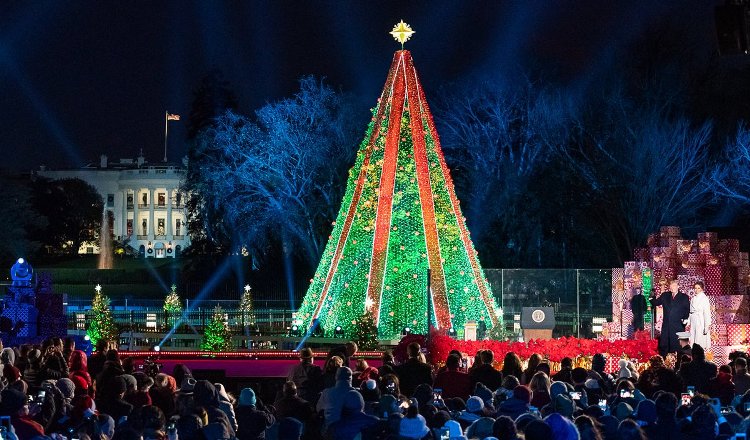 christmas tree outside white house