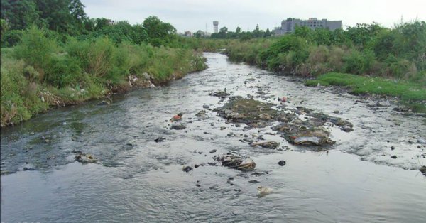 MoU signed for rejuvenating Rispana, Bindal rivers in Dehradun