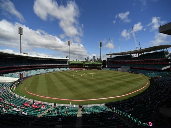 Ashes, 4th Test: Pink Village back to give fans themed entertainment zone at Sydney