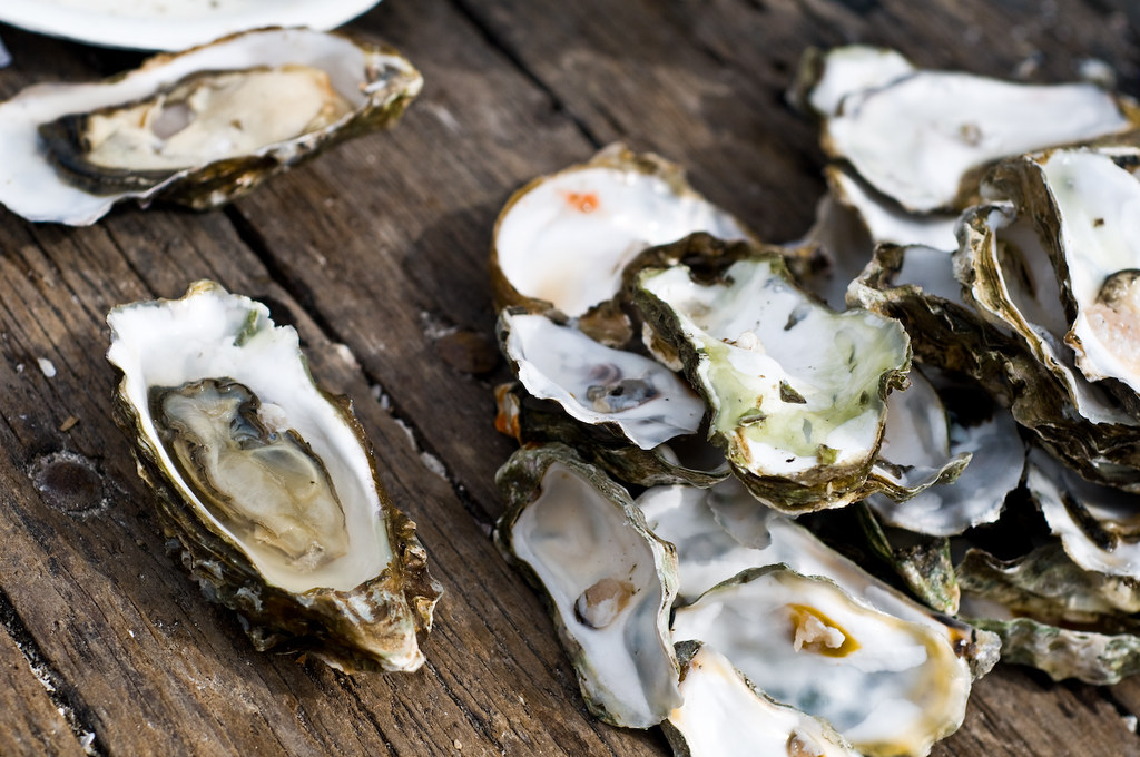 Odd News Roundup: 'You've won your weight in oysters!' - note in shells stops thieves