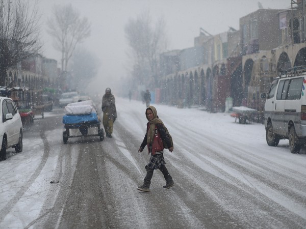 168 die due to harsh winters in Afghanistan