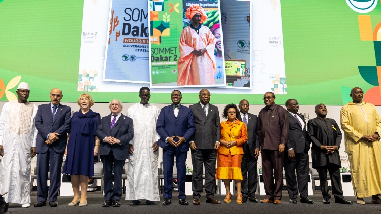 Africa’s push for food resilience depends on investments and partnerships: AfDB head