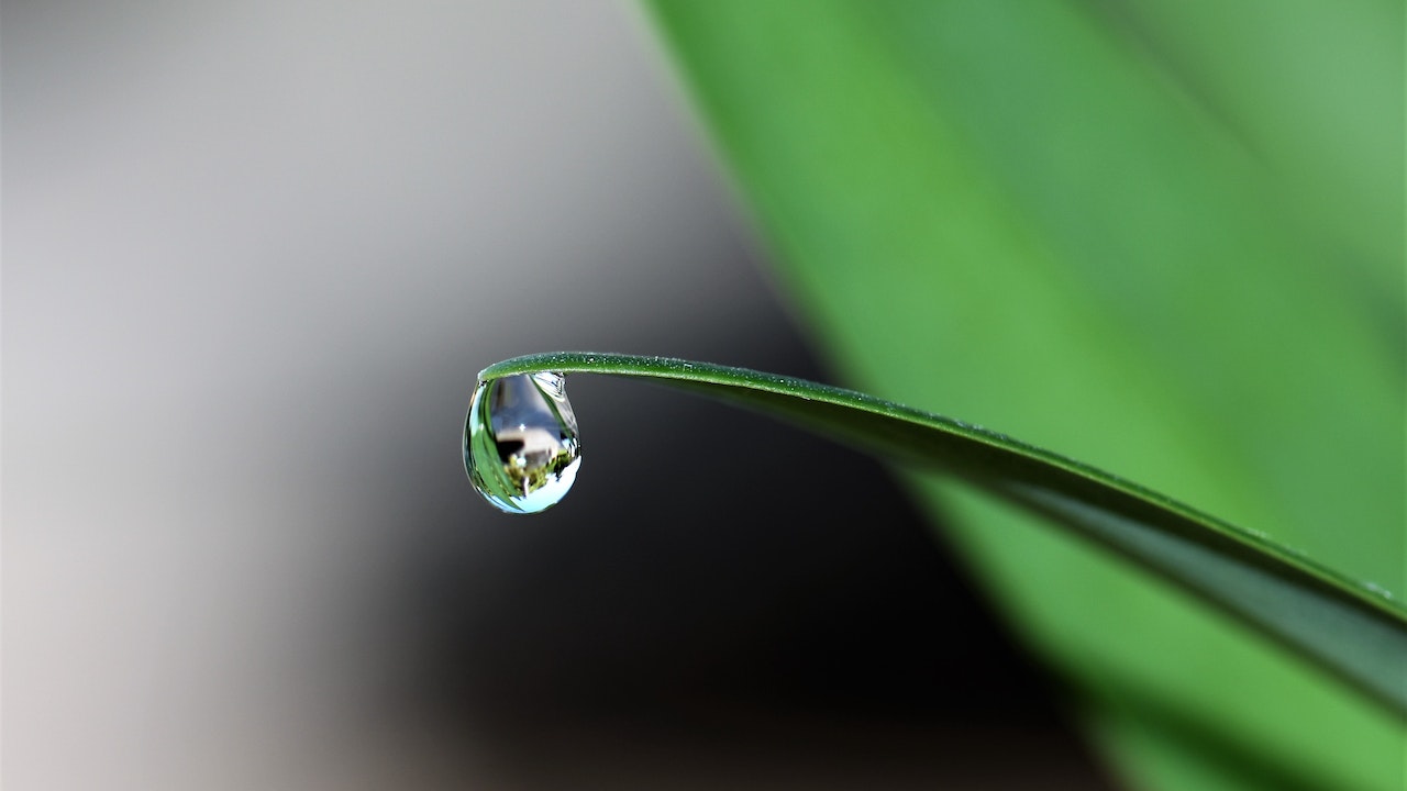 A Drop of Hope: The Connection Between Water and Sustainable Development