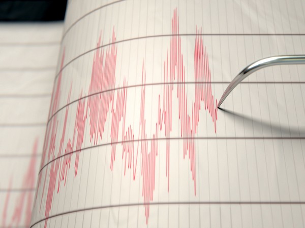 Shallow Quake Shakes Southeast of Nikolai, Alaska