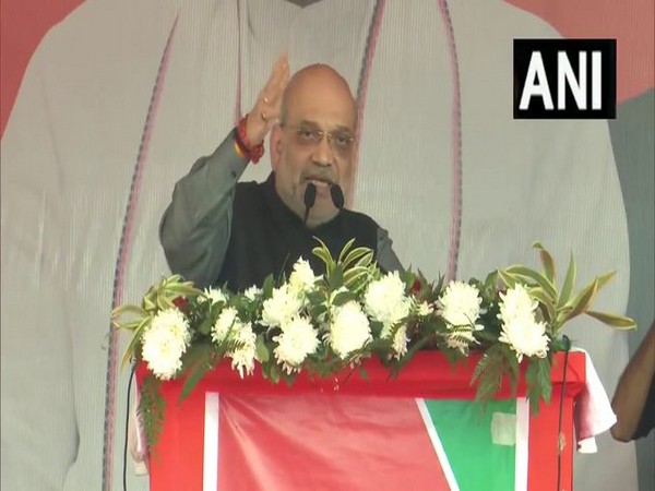 Amit Shah Targets Kejriwal Amidst Election Frenzy: Accusations Fly