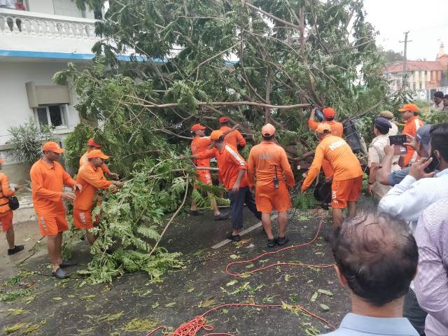 NDRF teams pre-positioned ahead of Southwest Monsoon: NDRF DG