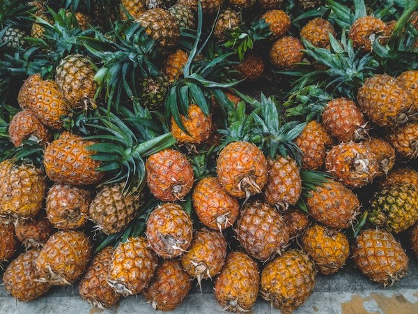 Largest Pineapple shipment of the year boosts farmer's hopes in Tripura