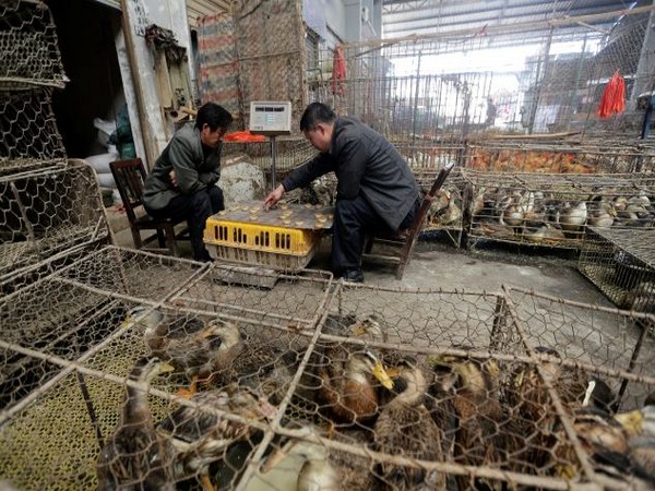 China's Wuhan seafood market likely cause of Covid-19 outbreak: new studies in journal 'Science'