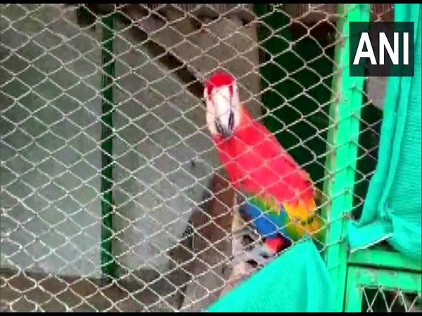 Dozens exotic animals found at Chikoti Praveen's farmhouse in Telangana