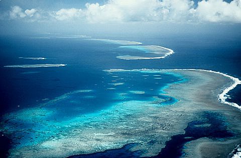 HSBC, Australia's Queensland buy 'credits' to protect Great Barrier Reef 