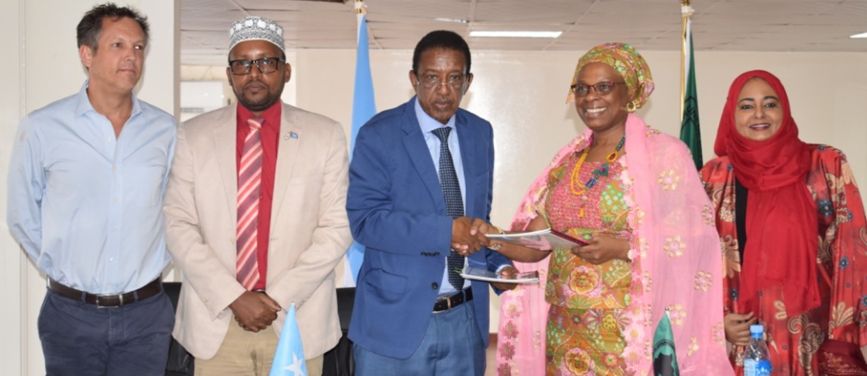 AfDB signs $28.8mn grant deals to improve road, water supply in Somalia