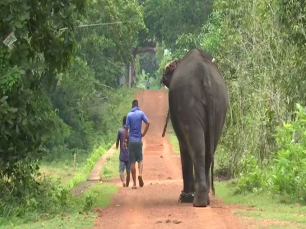 Chandaka-Dampara Wildlife Sanctuary to reopen from Oct 2