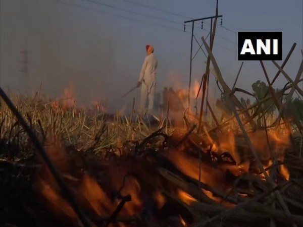 EPCA submits report to SC on Punjab-Haryana stubble burning, writes to state CSs again