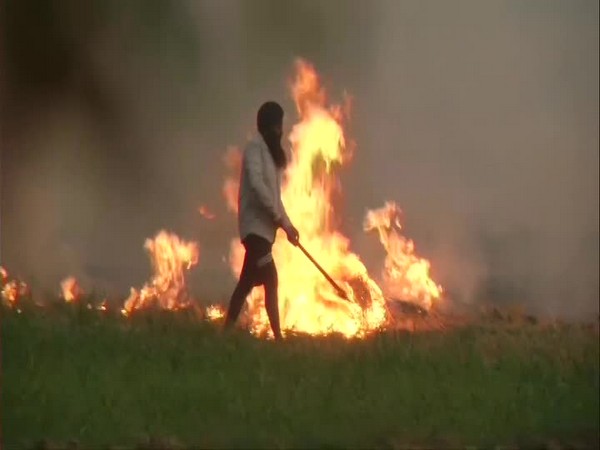 Stubble burning: 29 farmers fined in UP's Muzaffarnagar