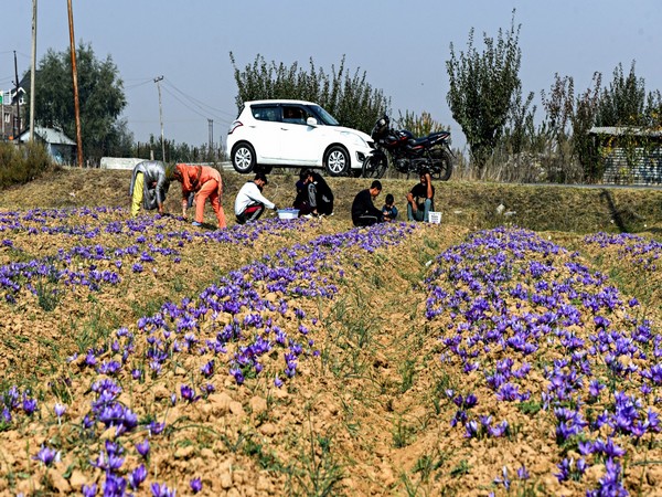 India & ADB Sign $98 Million Deal to Boost Horticulture with Disease-Free Crops