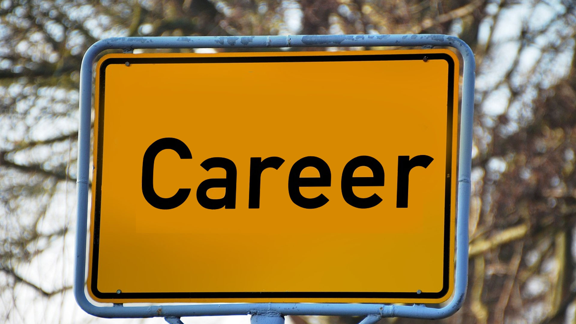 Time To Choose A Career A Psychologist Offers Tips On The Journey   30 12 2023 13 39 44 8078456 