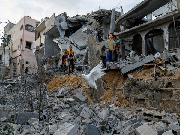 "Around 70 pc of Gaza homes damaged or destroyed": Report