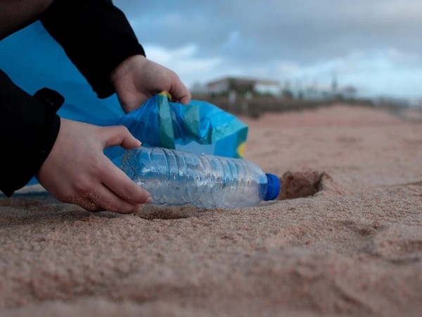 AI predicts influence of microplastics on soil: Study