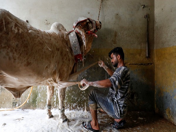 Cattle Traders Protest Alleged Police Killings; Healthcare Crisis in Lakki Marwat Unfolds