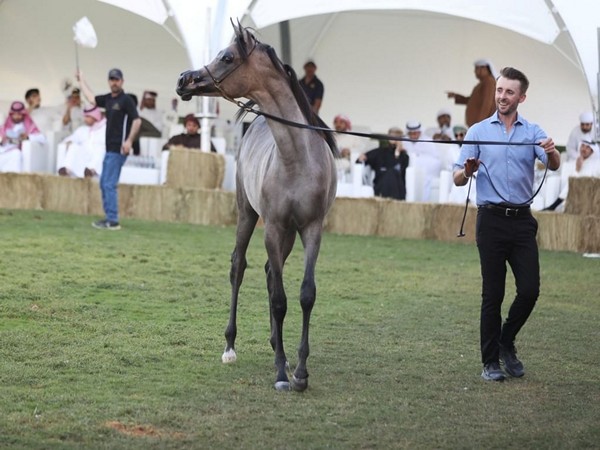 Dubai Arabian Horse Auction Fetches AED5.5 Million