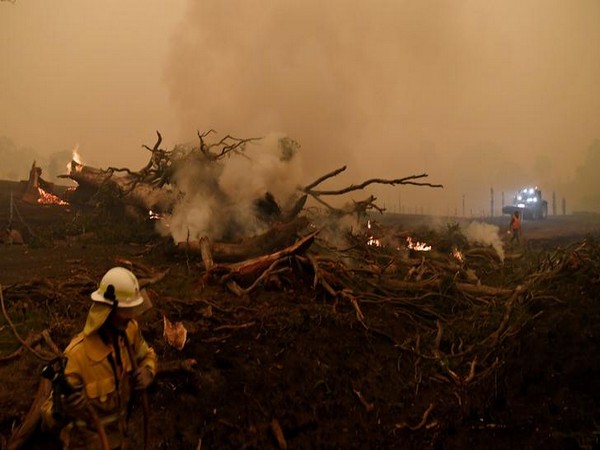 Crews try to tame massive forest fire north of Los Angeles