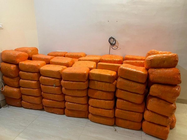 Indore: DRI records largest-ever cannabis seizure of 3,092 kg, 3 arrested