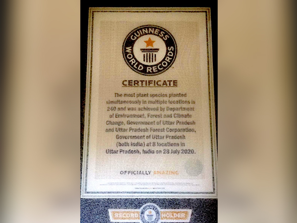 UP plantation drive enters Guinness World Records