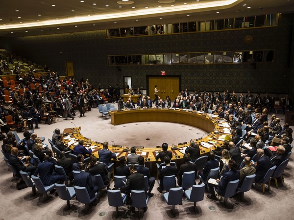 UN Security Council Condemns Terrorist Attack in Burkina Faso