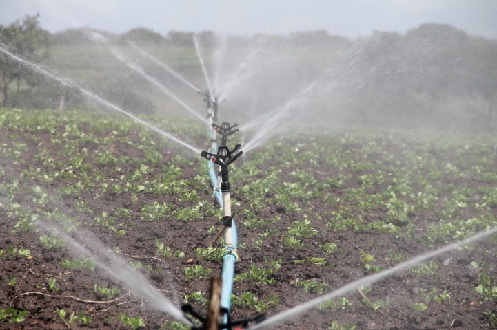 Guj govt waives micro-irrigation rule for farmers in 57 talukas